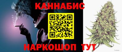 крисы Гай