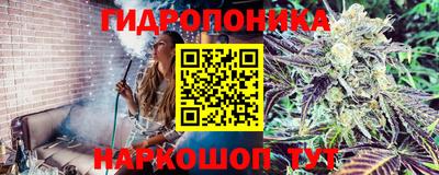 PSILOCYBIN Гагарин