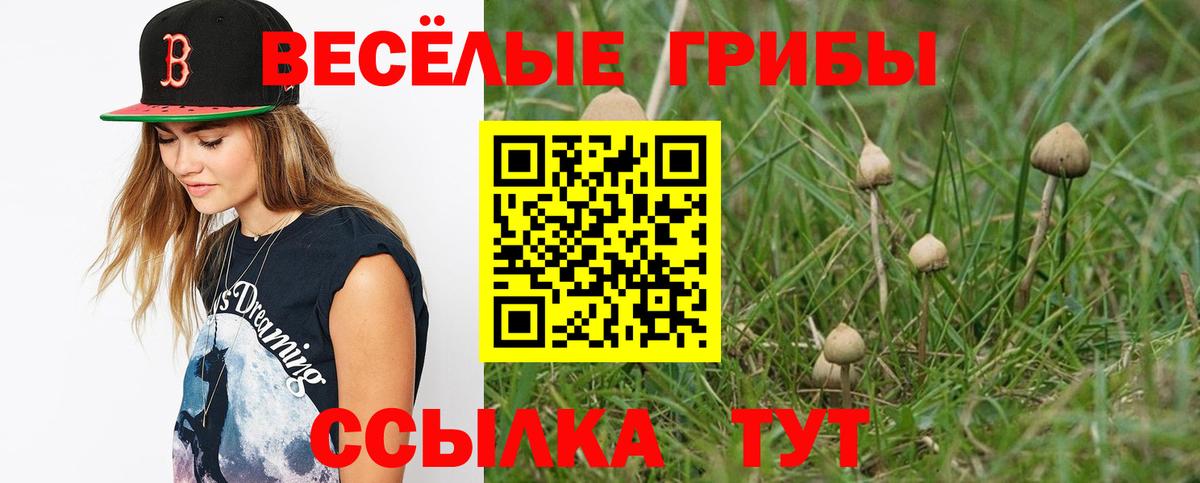 Псилоцибиновые грибы ЛСД Назрань
